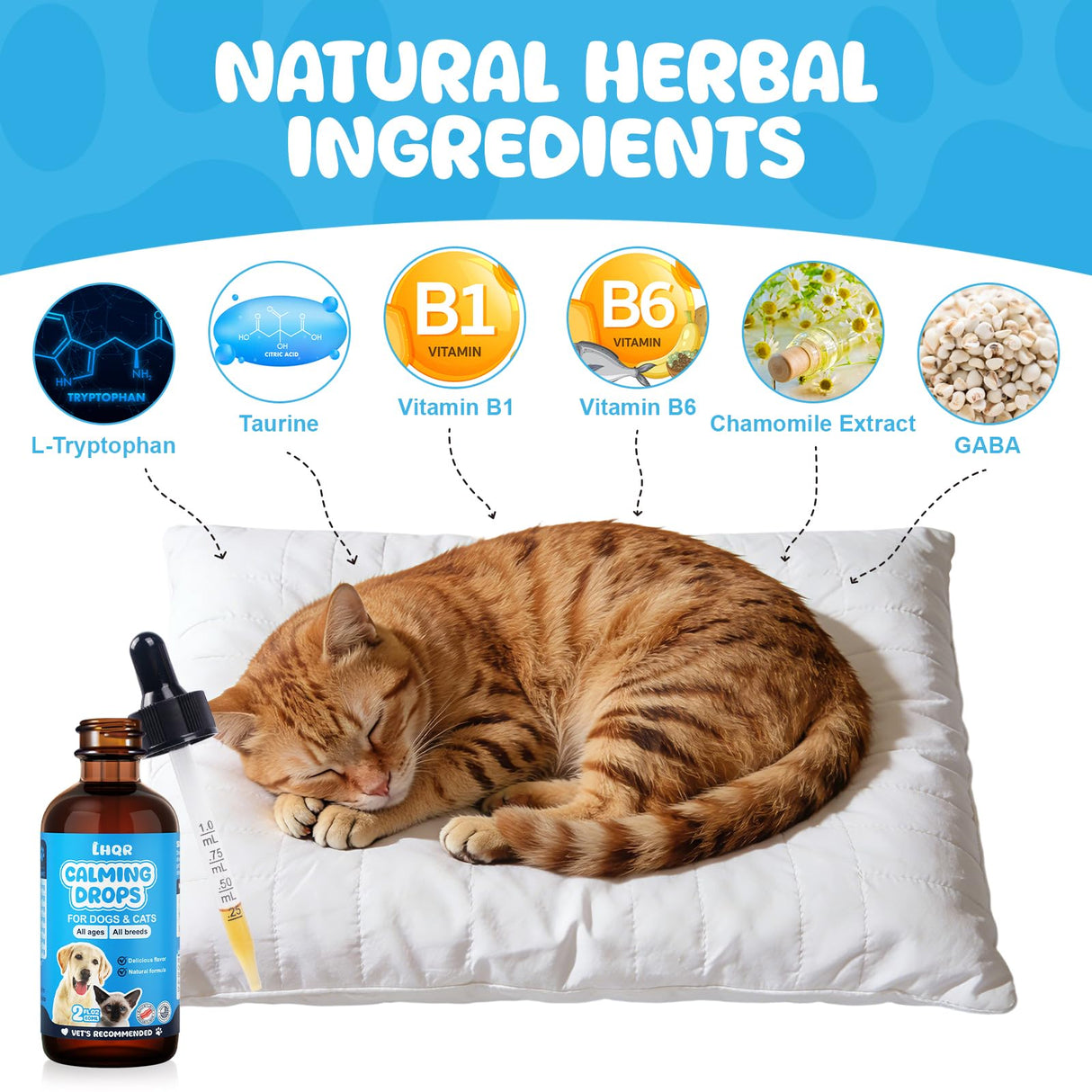 LHQR Cat Melatonin Natural Calming Liquid - 60ML Calming Drops for Dog for Anxiety & Stress Relief - Separation, Thunder, Fireworks Support - Calming Pet Supplement for Small Large All Breeds