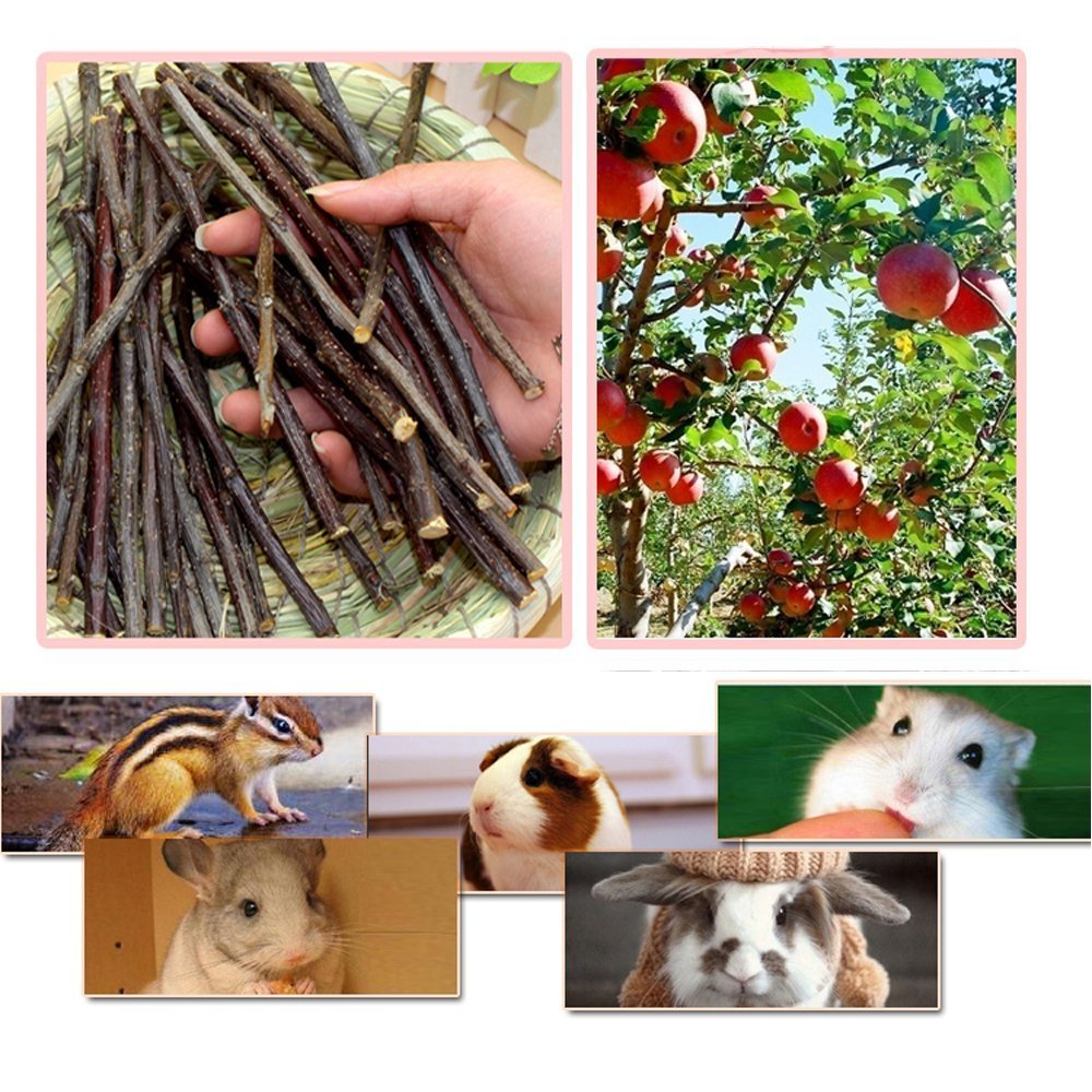 sharllen 500g(18oz) Apple Sticks Pet Chew Toys for Rabbits Chinchilla Guinea Pigs