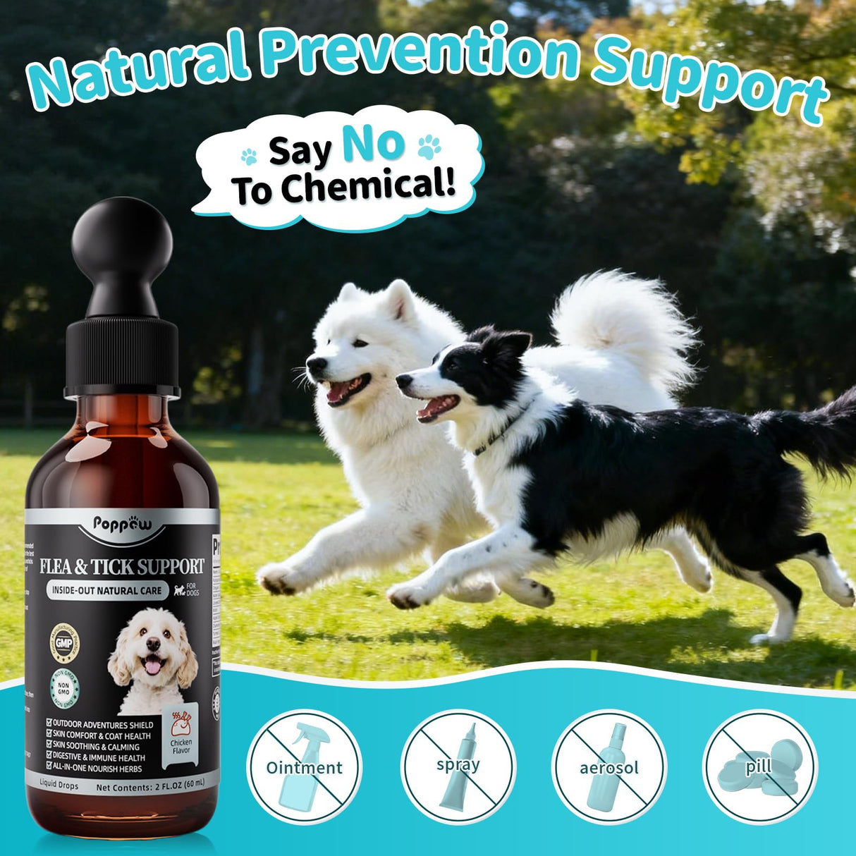 POPPAW Flea and Tick Prevention Support for Dogs, Natural Flea Treatment Drops with Neem, Oregano for Puppy Oral Flea and Tick Treatment Supplement for All Breeds and Ages - Chicken Flavor, 2 FL.Oz