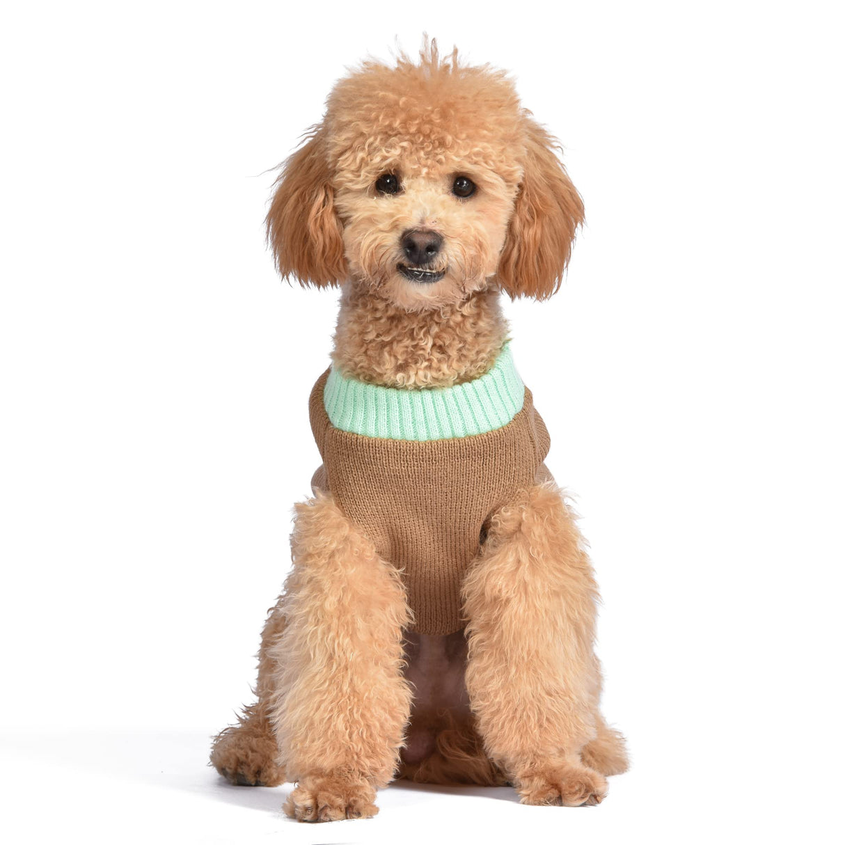 Star Wars Mandalorian The Child Dog Sweater - The Mandalorian & Grogu Pet Outerwear for Dogs - Officially Licensed Dog Apparel & Accessories, Size Large