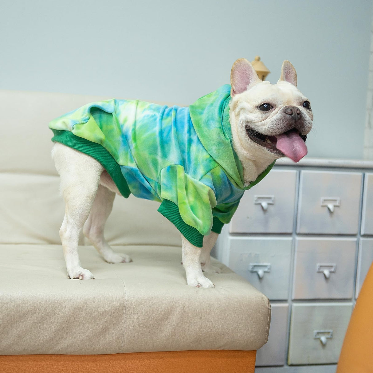 PAWCHIE Dog Hoodie for Small Dogs,Tie Dye Dog Cloth with Leash Hole,Puppy Sweatshirt, Pet Outfit, Cat Apparel,Blue Green,M