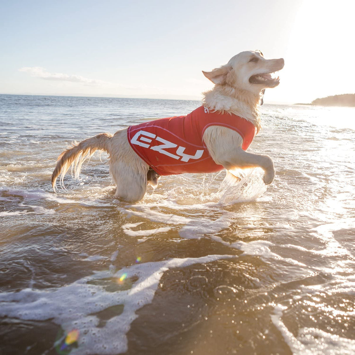 EzyDog Rashguard Vest - Premium Dog Shirt Allowing All-Day Water Use - Tested to Provide 50+ UV Protection - Innovative Design for a Snug, Comfortable Fit (Medium, Red)