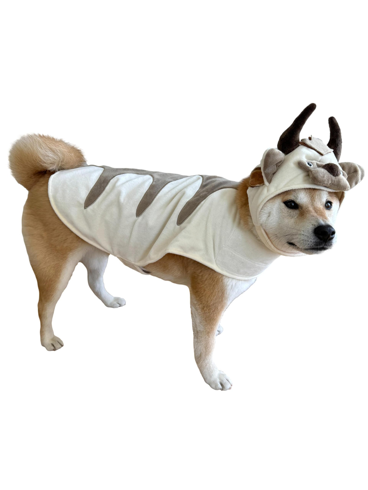 ComfyCamper Oxen Dog Costume - Viking Hat and Cape for Small Medium X Large Cosplay Halloween Costumes, Large