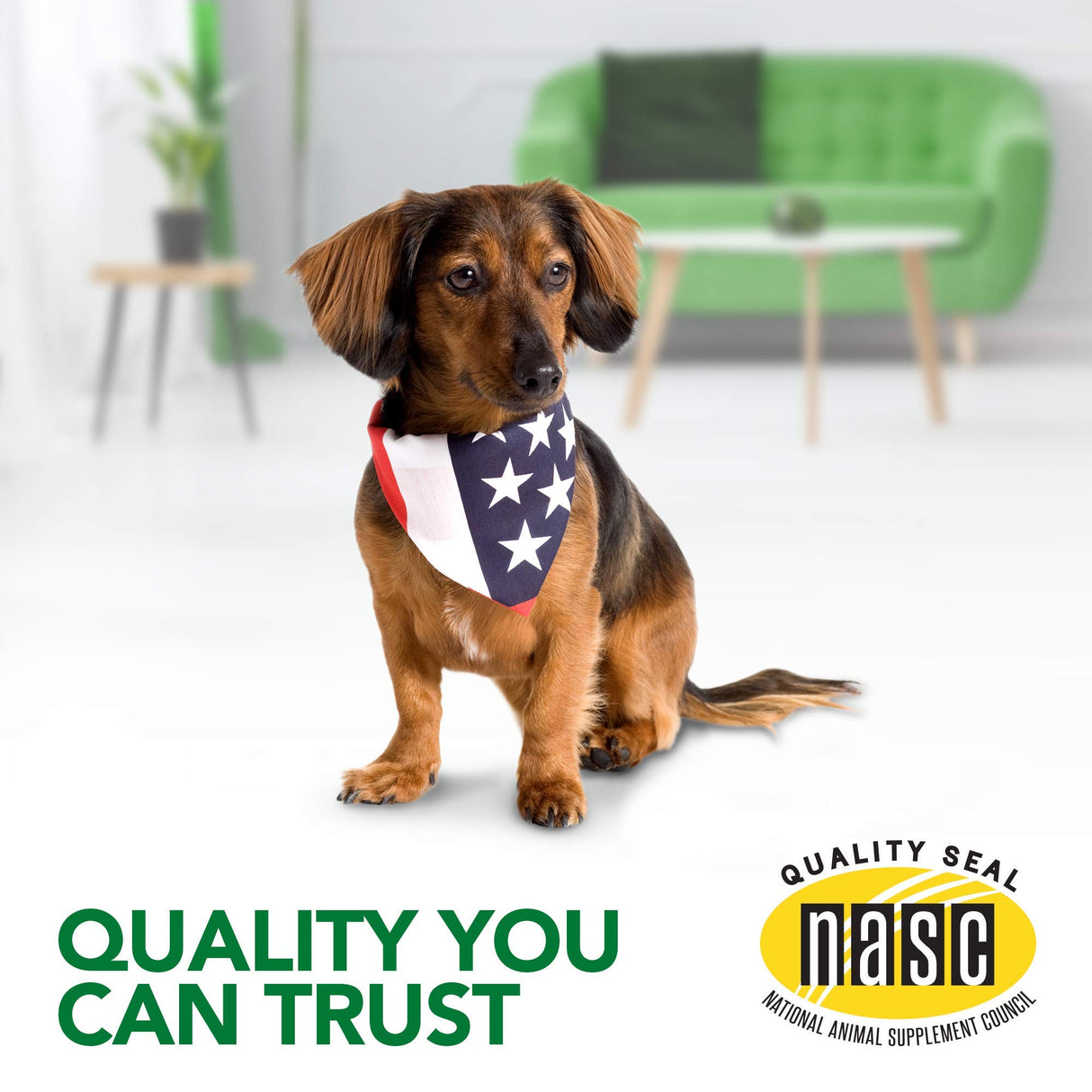 Vet's Best Seasonal Allergy Soft Chew Dog Supplements, Soothes Dogs Skin Irritation Due to Seasonal Allergies, 30 Day Supply