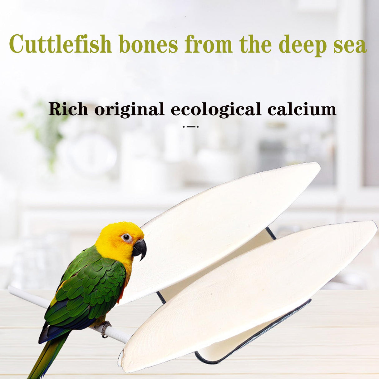Clyairmao Bird Cuttlebone for Parakeets Cuttlebone for Birds - 100% Natural Cuttlefish Bone Bulk Chew Toy Bird Bites Calcium Stone for Canaries Tortoises,Snails,Reptiles,Parrots,Cockatiel