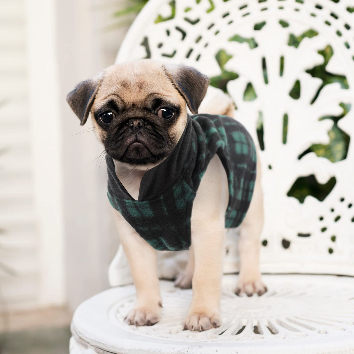 Weewooday 4 Pieces Winter Dog Clothes Sweater with Leash Ring Pet Puppy Cat Warm Clothes Jacket Fleece Vest Pullover for Pet Puppy Dogs Cat Chihuahua (M(Neck:12-13” Chest:16-18” Back :12”))