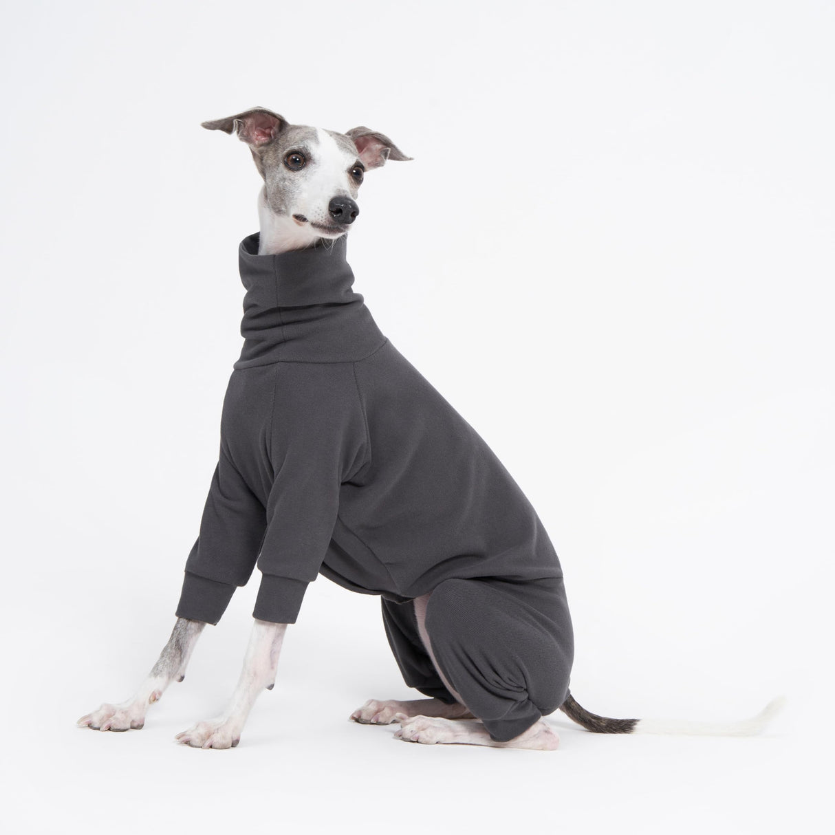 ESCCBOO Cozy Cotton Fluffy Underwear Onesie for Italian Greyhounds and Whippets, Super Soft Warm Pajamas and Jumpsuit(Large, Grey)