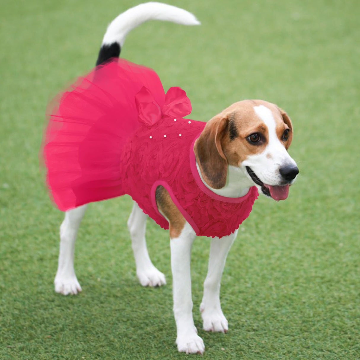 Kuoser Dog Dress Pet Wedding Dresses, Adorable Tutu Shirts for Small Medium Girl Dogs, Puppy White Princess Outfits with Luxury Lace Pearl Bow, Retro Pet Costumes for Birthday, Party, Wedding