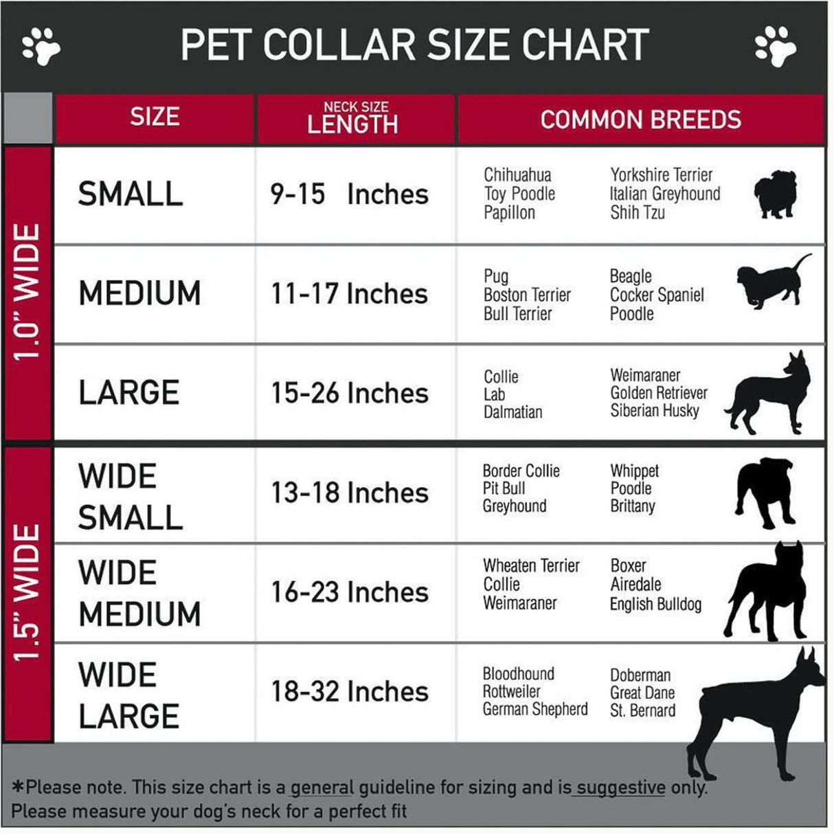 Initial Letter Cuban Chain Dog Chain Pet Chain Pet, Cat, Puppy Necklace (N, 10")