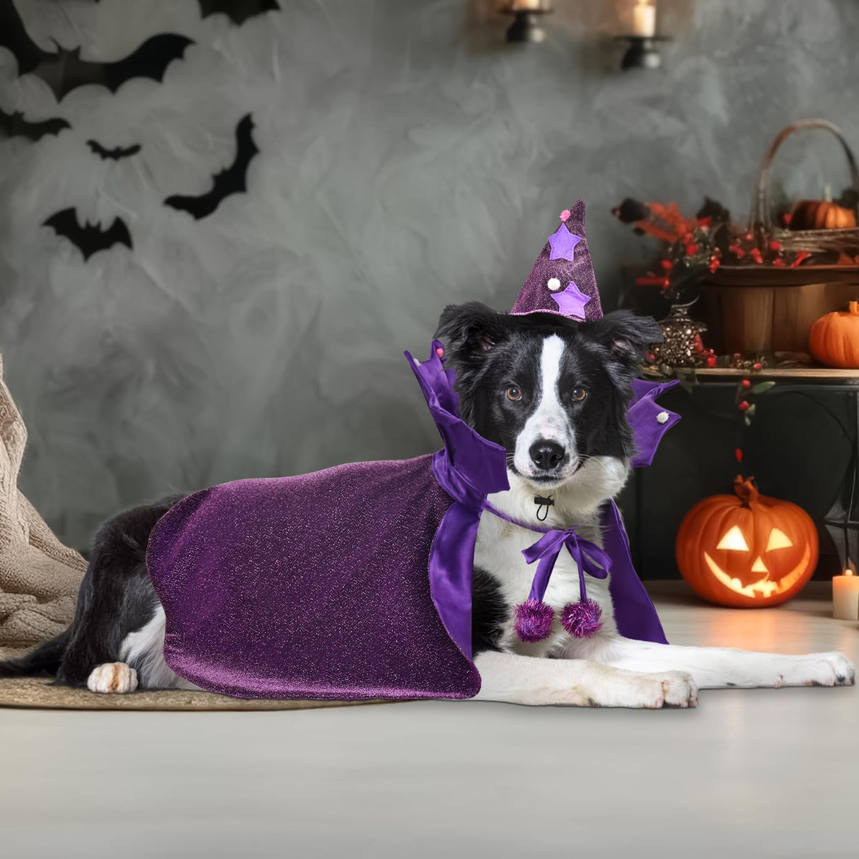 Vehomy Halloween Dog Costume Dog Witch Cape Witch Hat Set Pet Wizard Cloak Vampire Devil Outfit Puppy Cat Halloween Cloak Devil Clothes Outfit Apparel Cosplay for Small Medium Large Dogs 2Pcs XL