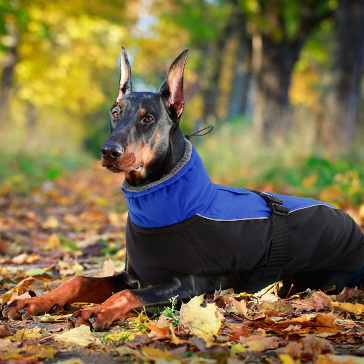 IDOMIK Dog Winter Coat, Reflective Waterproof Dog Jacket for Cold Weather, Warm Pet Coats for Small Medium Large Dogs, High Collar Doggy Fleece Snow Jacket, Winter Vest with Adjustable Buckle,XXL