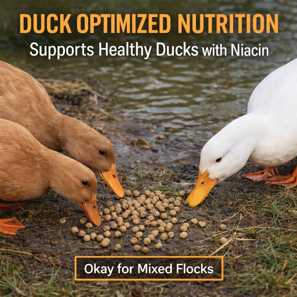 Hapetrails Duck Feeder Floating Duck Food Pellets for Ponds & Parks | Safe Feed for Ducks, Geese & Swans | Floats for Hours | with Niacin | Ditch The Bread, Feed The Revolution (5 lb)