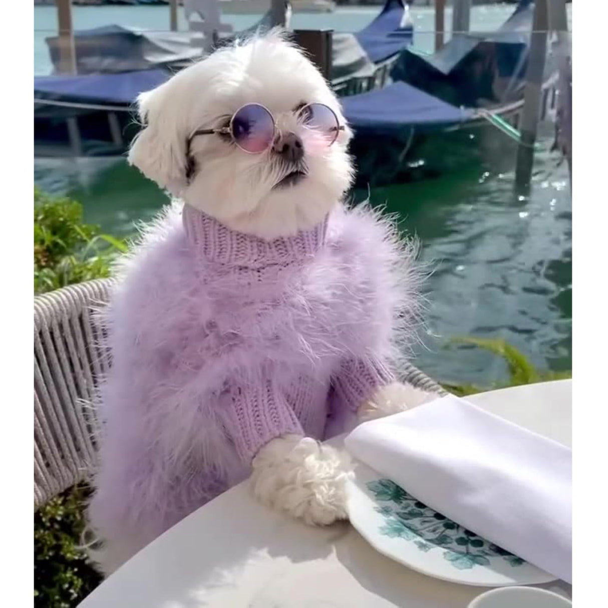 OUSHOP Small Dog Pullover Sweater Cute Furry Coat Cold Weather Knitted Feather Turtleneck Knitwear Warm Clothes,Purple,M