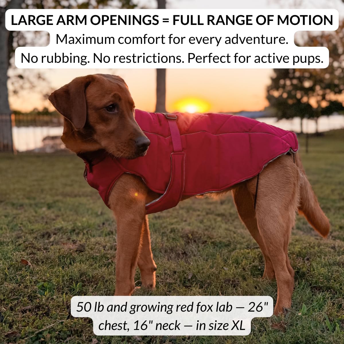 DJANGO Insulated Winter Dog Coat – Warm, Water-Repellent Puffer Jacket for Small Dogs, Dachshunds & Puppies – Adjustable, Reflective Cold-Weather Dog Coat with Harness Hole – Firelight Red, Small