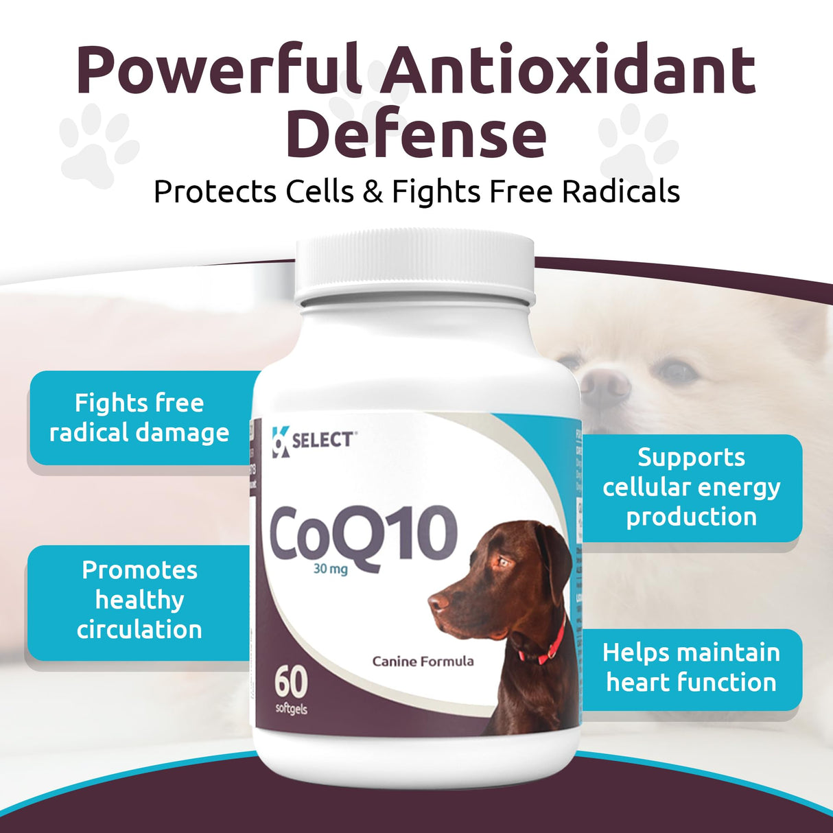 K9 Select CoQ10 Supplement for Dogs, 30mg - 60 Soft Gels per Bottle - Pet Supplement, Nutritional Softgels for Canine Heart Health, Cardiovascular & Gum Health, Energy