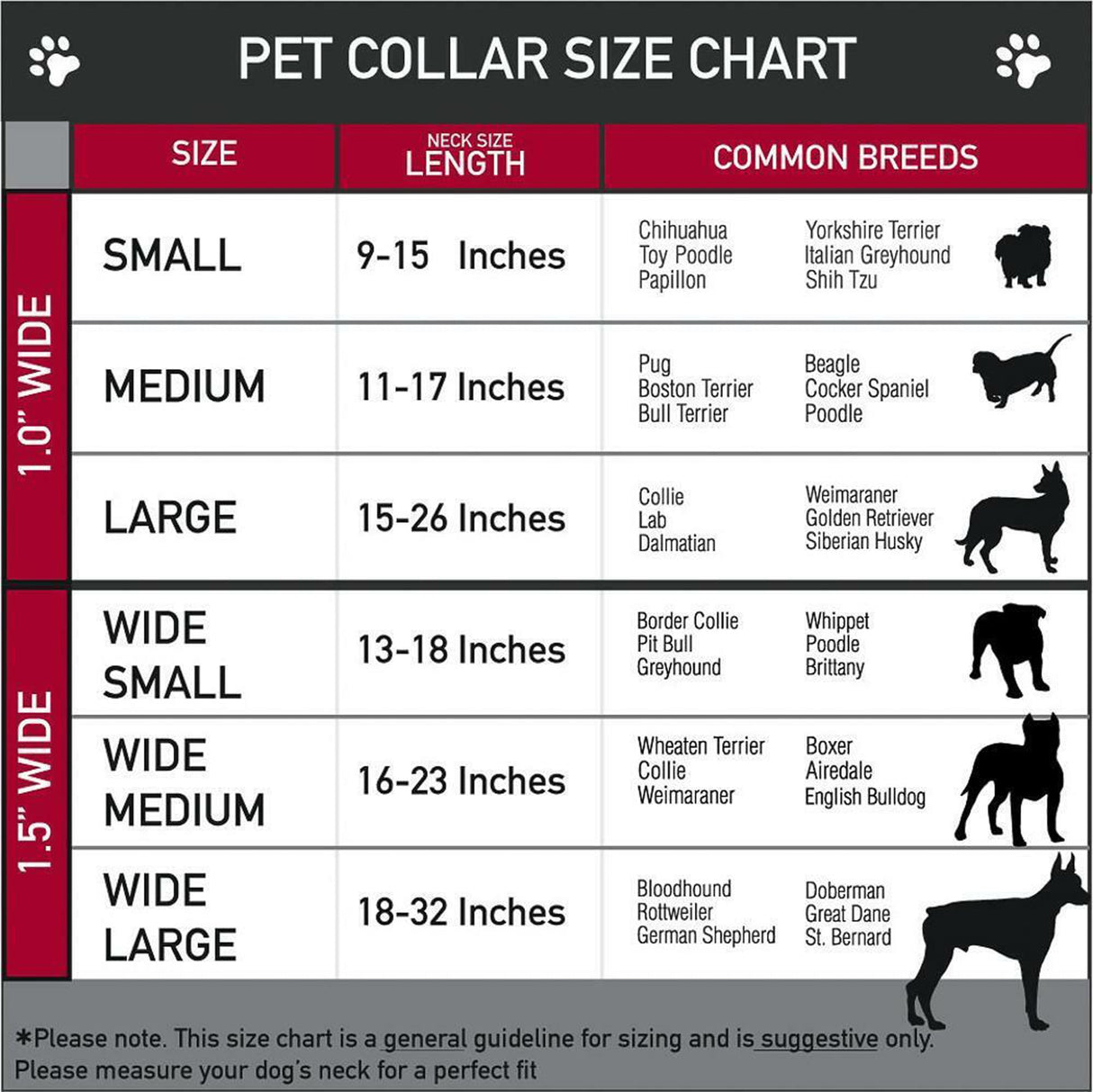 Pet Money Sign Pendant Necklace with Stone Studs, Fashion Jewelry for Dogs and Cats (Silver Tone, 12")