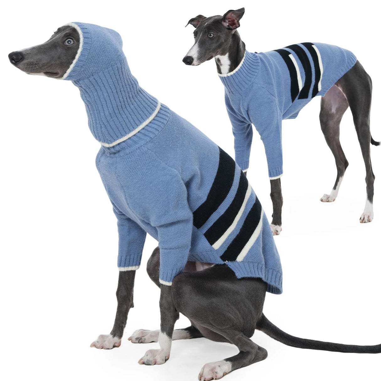 IECOii Warm Italian Greyhound Sweater, Whippet Clothes with Detachable Hood Turtleneck Sighthound Sweaters for Medium Dogs, Cozy & Stretchy Pullover Knitwear for Fall and Winter, Large- Blue