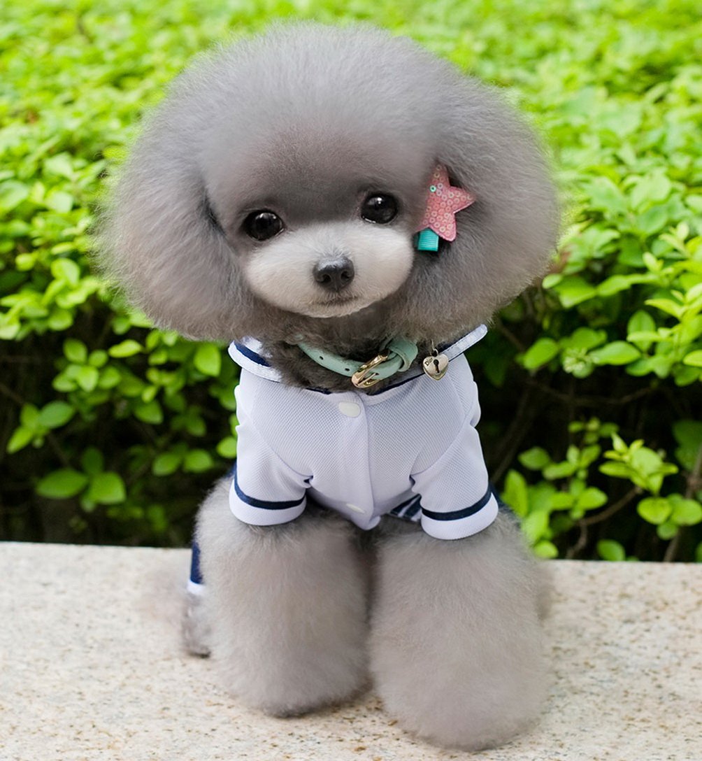 SELMAI Boy Navy Captain Costume Jumpsuit Seaman Outfits for Small Dog Cat Puppy Tee Shirts with Pants Chihuahua Clothes M