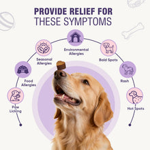 Load image into Gallery viewer, Dog Allergy Chews 200ct - Dog Allergy and Itching Skin Relief Anti Itch Aller Immune Bites for Dogs licking Paws Treatment Relief Itchy Chew Probiotics Vitamins for Skin and Coat Allergies - Chicken