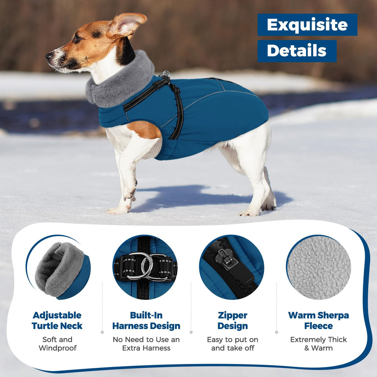 Queenmore Dog Coat,Windproof Dog Coat for Medium Dogs,Dogs Jackets with Harness Built in,Waterproof Doggy Coats with Zipper On Back,Reflective Cold Weather Coats for Dachshund,Boston Terrier,Blue,M