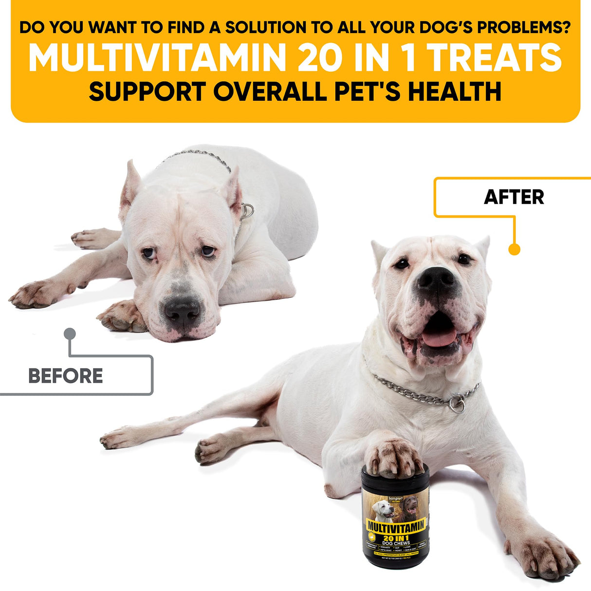 20-in-1 Dog Multivitamin Chews - Dog Supplement for Immunity, Digestion, Joint Care, Vision, Brain and Heart Health Support - Natural Dog Vitamins with MSM & Glucosamine for Dogs - 180 Chews