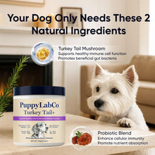 Load image into Gallery viewer, Puppy Lab Co Turkey Tail Mushroom for Dogs - Puppylabco Turkey Tail for Gut & Immune Supports, 100 Scoops | Bacon Flavor | Probiotics 100g (1)