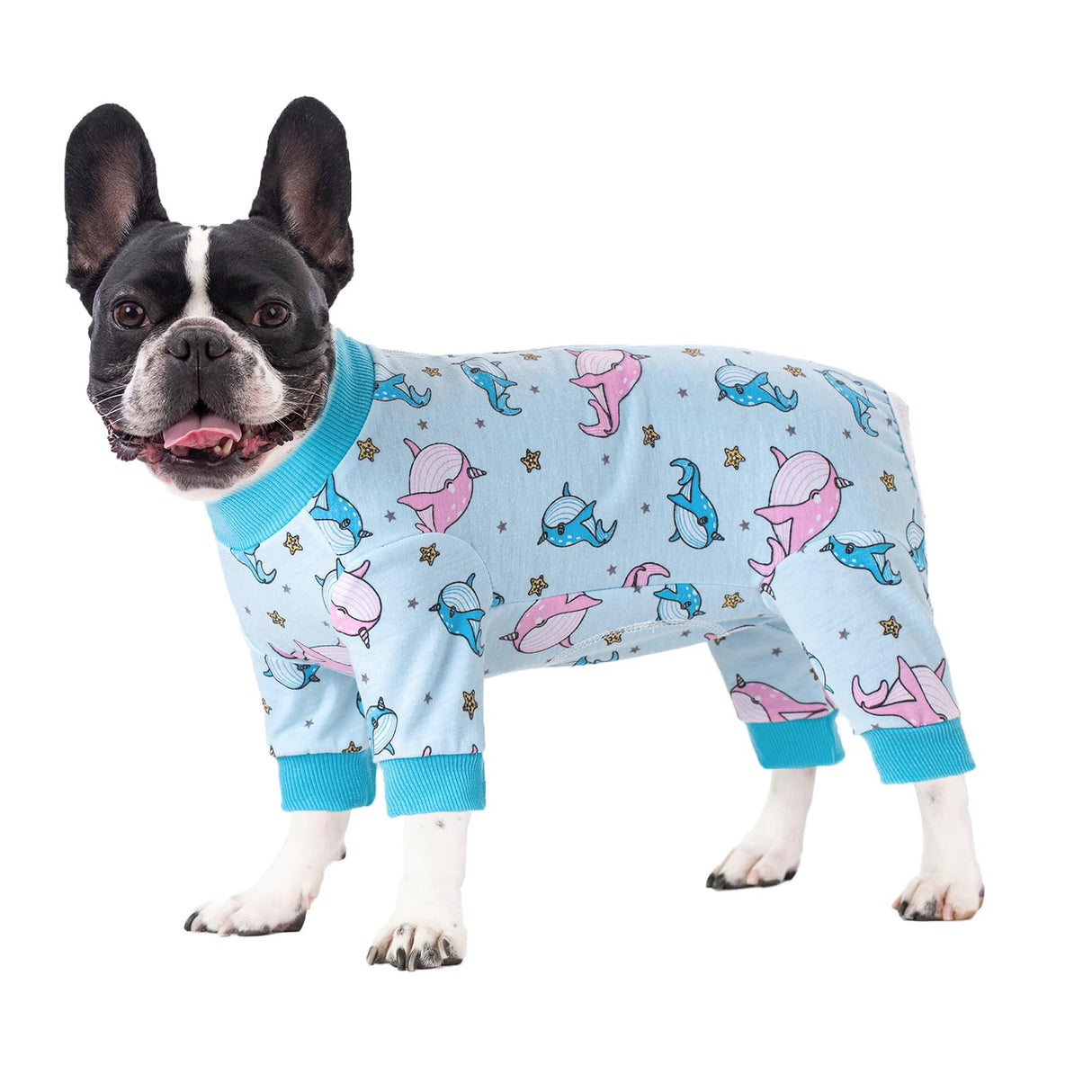 Dog Recovery Suit for Surgery Small Medium Dogs Onesie, Cute Soft Dog Pajamas Bodysuit Cone Alternative Prevent Licking Recovery Suit Female Male (Dolphins, Large)