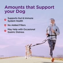 Load image into Gallery viewer, Nutri-Vet Bladder Control Supplement, Cranberry Supplement, Dog Products, Immune Support, Helps Dog Urinary Incontinence, Bladder Control Pills, Urinary Tract Health, Puppy Support, 90 Tablets