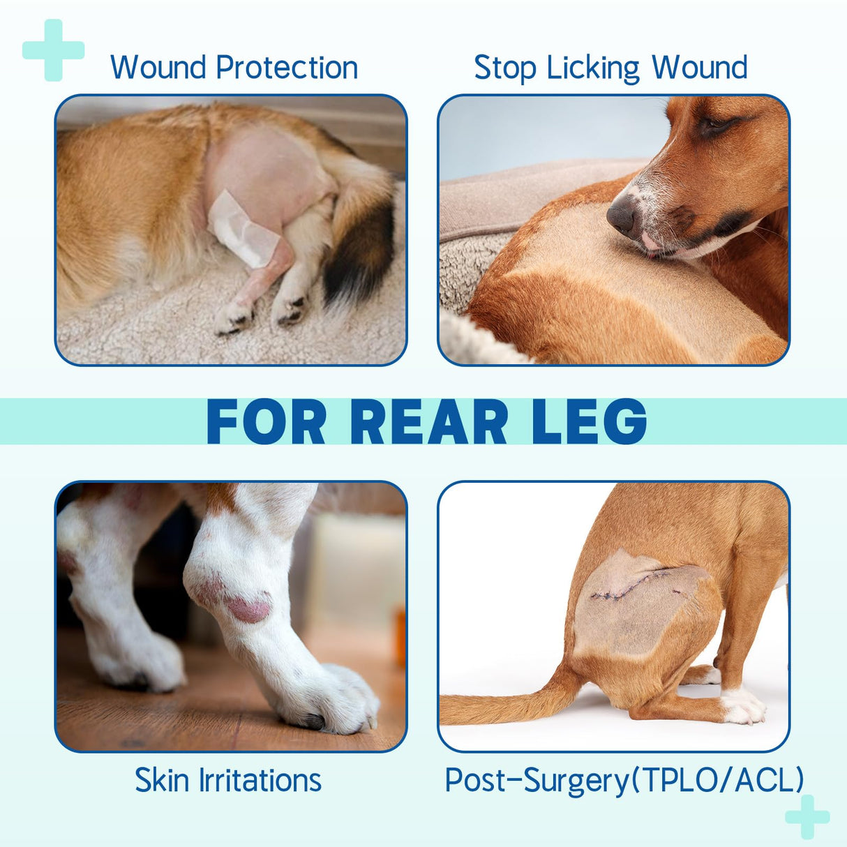 Petdream Dog Rear Leg Sleeve to Stop Licking, Upgraded Leg Shap to Stop Slipping, for TPLO Surgery, Skin Conditions, Wounds, Breathable Soft Fabric (Black, Left Leg, L)