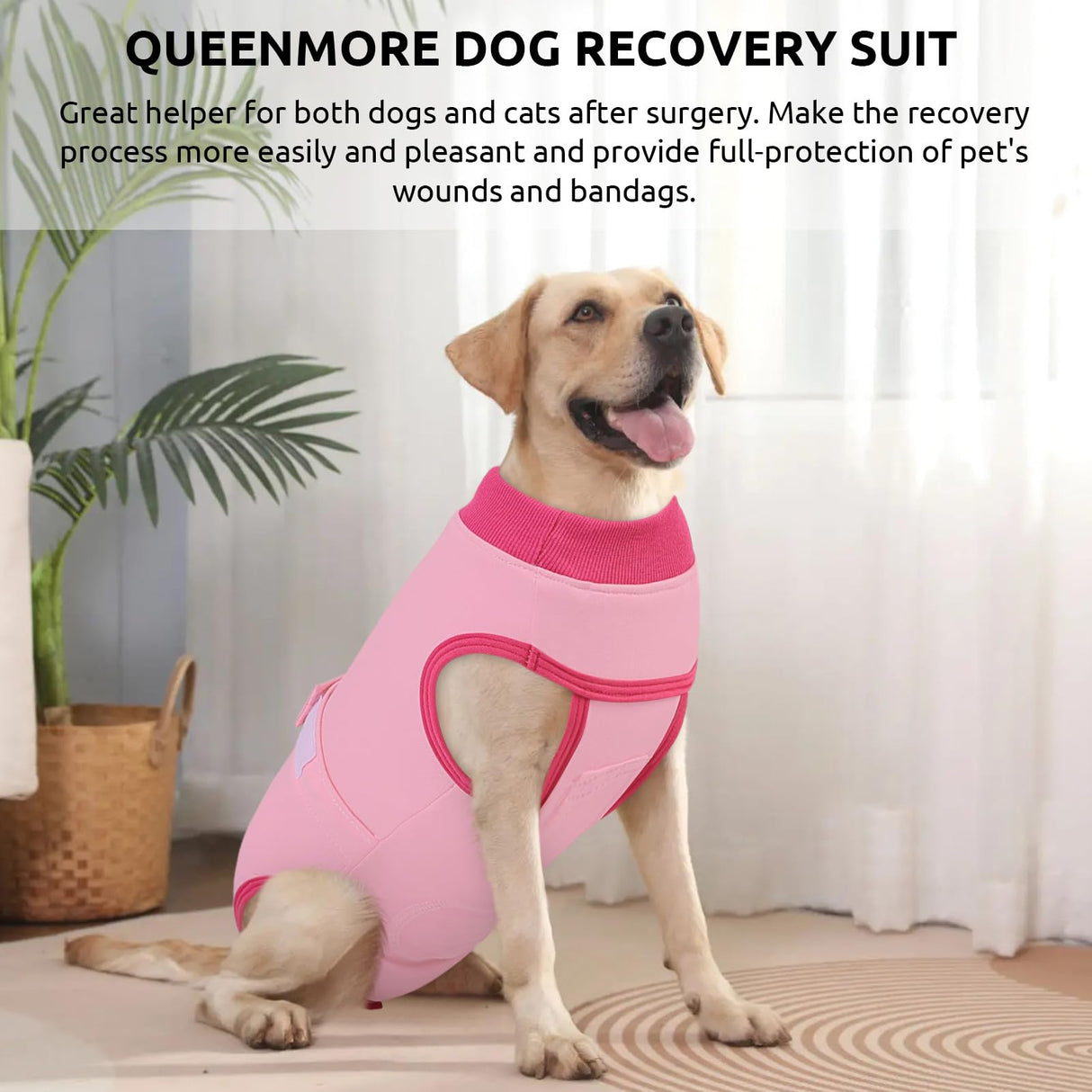 Queenmore Recovery Suit for Dogs Cats After Surgery, Cat Surgical Recovery Suit Onesie,Professional Pet Recovery Shirt, Prevent Licking Dog Body Suits, Surgical Clothes for Abdominal Wounds, Pink,2XL