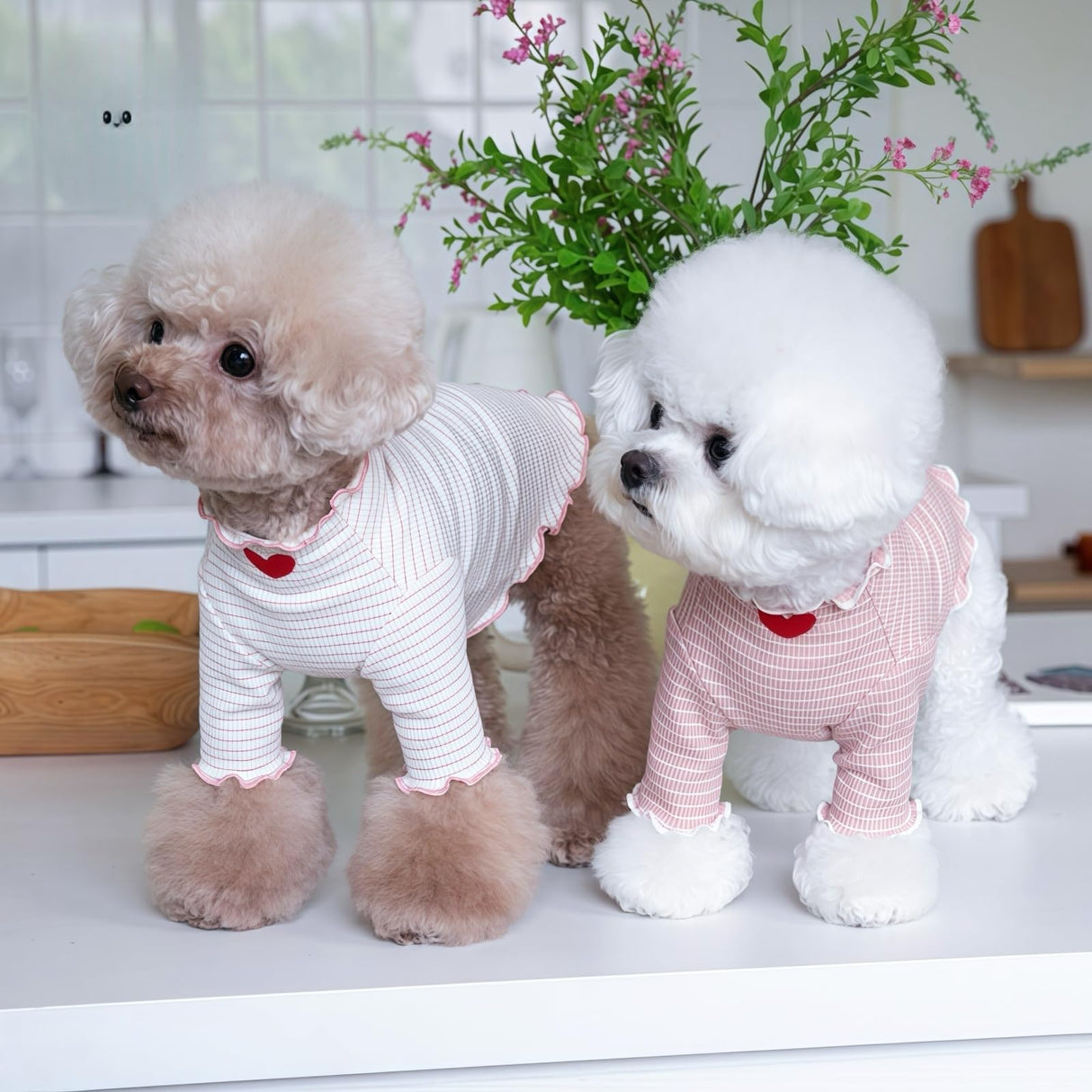 2Pcs Cute Dog Shirt Breathable Stretchy Puppies Tshirt for Small Medium Dogs Sphynx Cats Kitten Frenchie Dachshund (S (5.5-7.7 lbs))