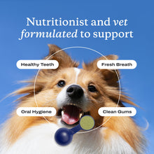 Load image into Gallery viewer, PetLab Co. ProBright Dental Powder - Dog Breath Freshener - Teeth Cleaning Made Easy – Targets Tartar & Bad Breath - Formulated for Extra Small Dogs - Packaging May Vary