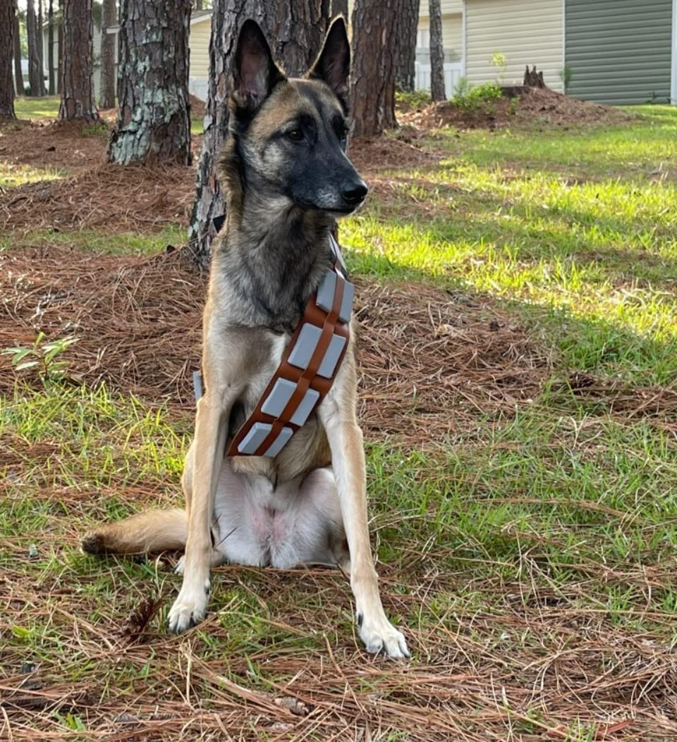 ComfyCamper Utility Belt Dog Halloween Costume Adjustable - X Large Medium Small French Lab Cosplay Christmas 2024, X-Large