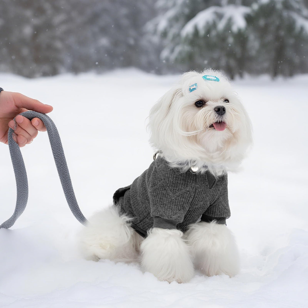 EXPAWLORER Dog Hoodie for Small Medium Large Dogs, Soft and Warm Fall Pet Clothes,Dog Sweater with Leash Hole and Pocket, Winter Cold Weather Coat, Sweatshirt for Boys Girls, Grey L
