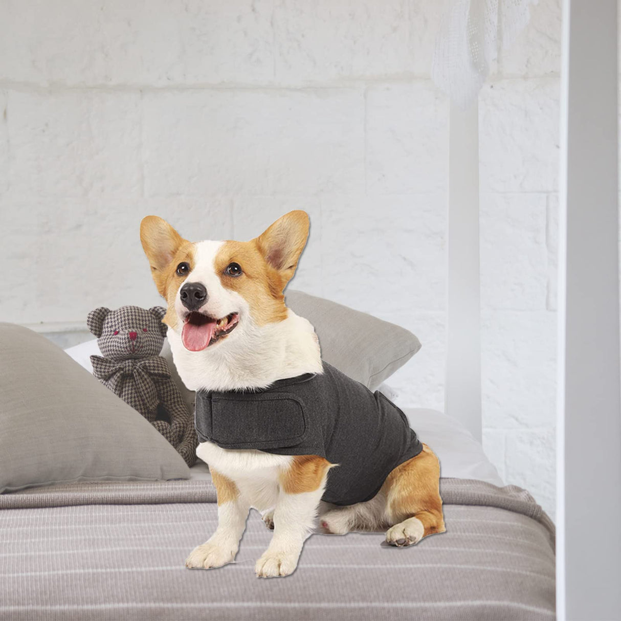HCHYEY Dog Anxiety Jacket, Skin-Friendly Calming Shirt for Dogs - Dog Vest for Thunder, Fireworks and Separation - Keep Pet Calm Without Medicine & Training, Anti Anxiety Coat for Dogs (Dark Grey, XL)