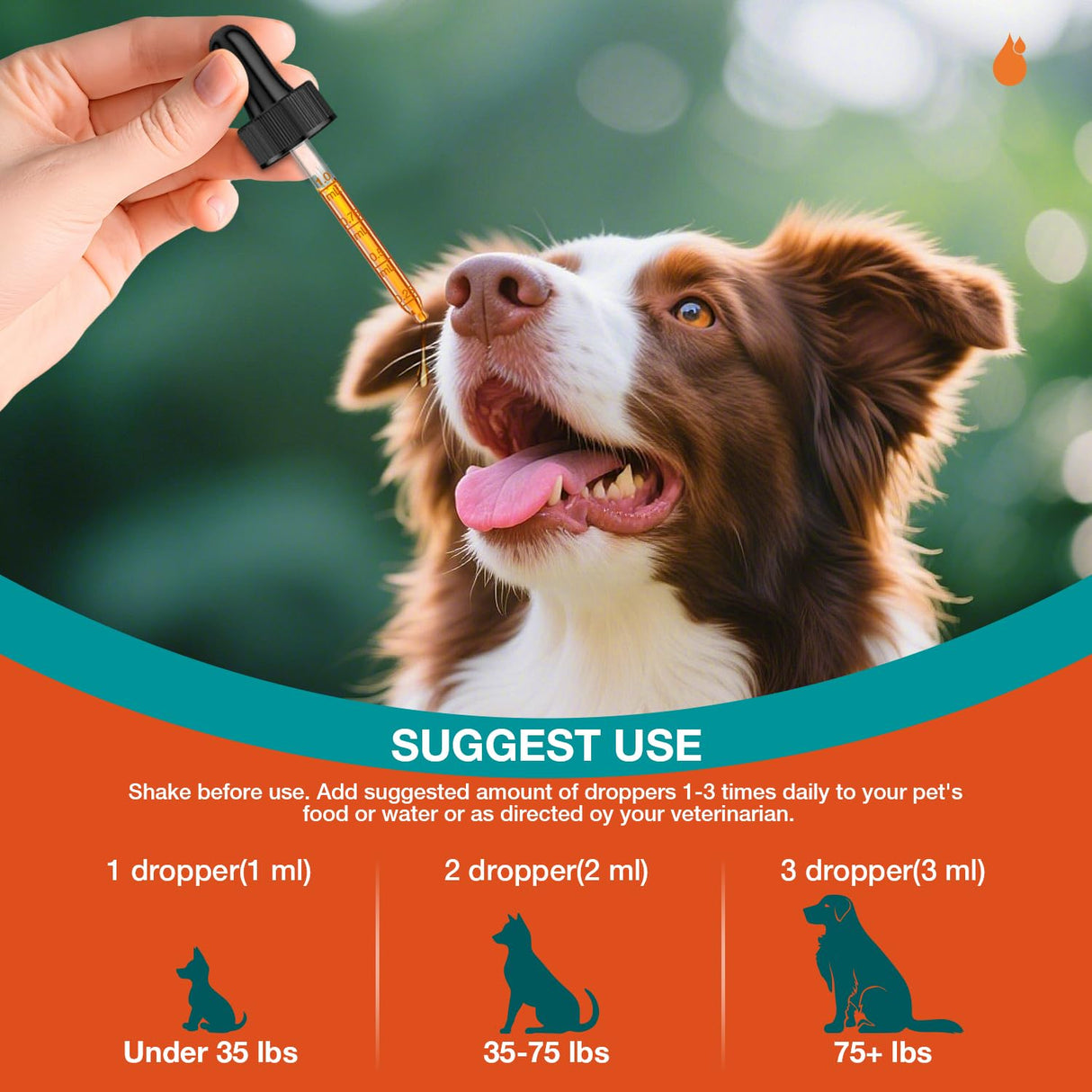 Dog Yeast Infection Treatment - 60ml Yeast Infection Drops for Dogs | Dog Yeast Treatment for Ear, Paw & Skin Itch Relief, Natural Herbal Supplement