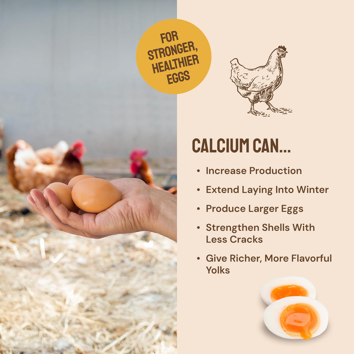 Hatortempt Chicken Feed Supplement - Non-GMO - Protein-Rich Mealworms, Black Soldier Fly Larvae & Oyster Shell - Calcium Grit Treats for Chickens - Egg Layer Feed Supplement (10 lb)