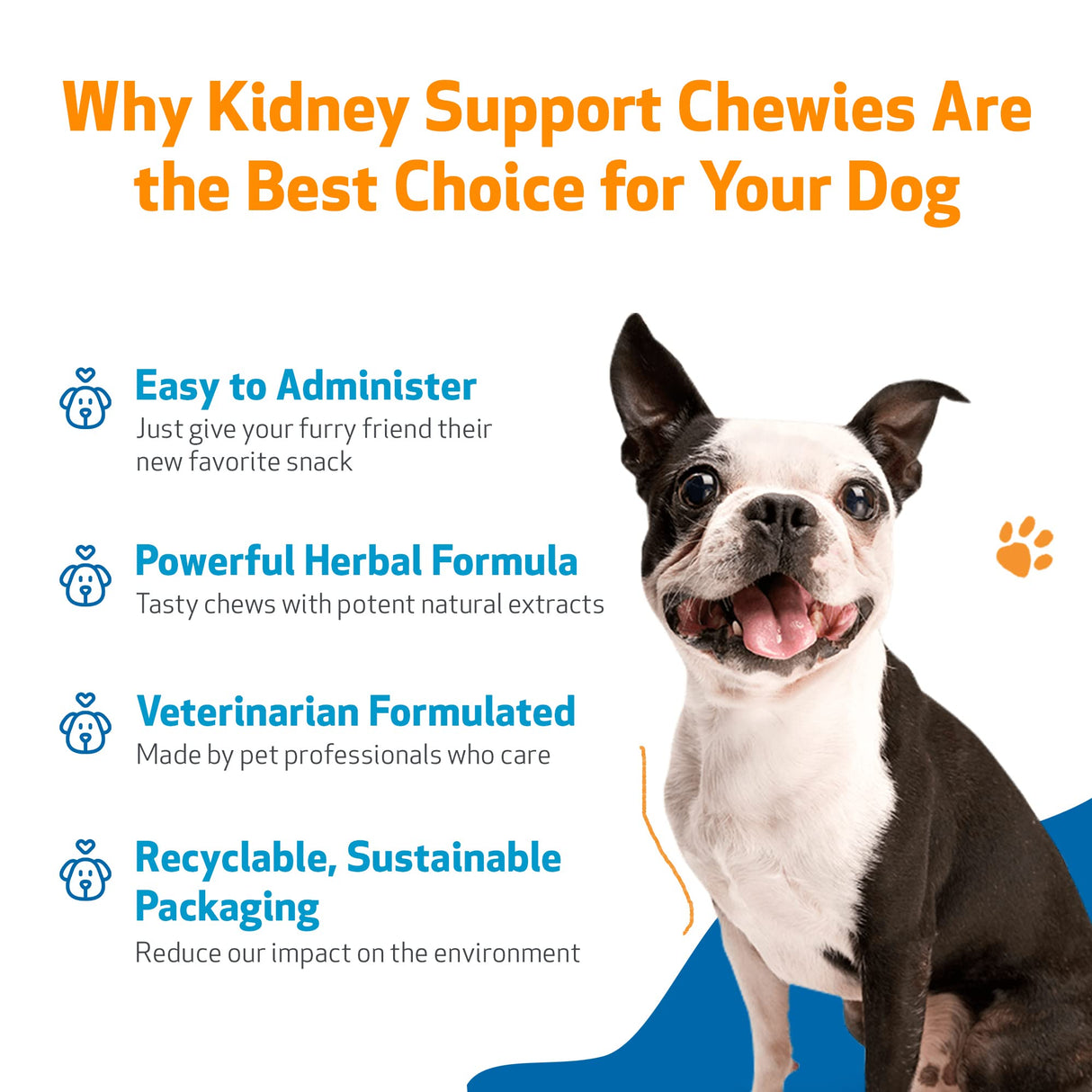 Pet Wellbeing Kidney Support Chewies for Dogs - Vet-Formulated - Supports Healthy & Stable Kidney (Renal) Function, Normal Fluid Balance & Energy Levels, Rehmannia, Astragalus - 90 Soft Chews