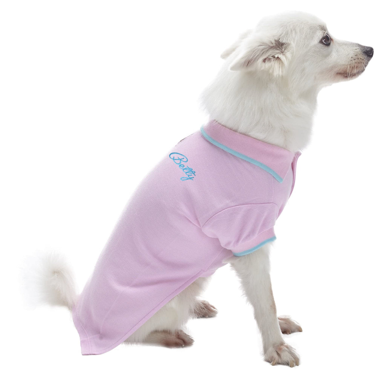 Blueberry Pet Back to School 2-Pack Custom Personalized Prep School Style Dog Polo w/Embroidered Name| Cotton Outfit for Small Pets in Pastel Pink + Blue, Back Length 16 inch