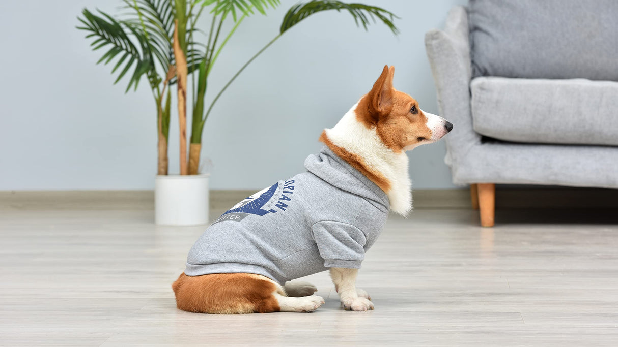 STAR WARS for Pets The Mandalorian Hoodie for Dogs with Leash Attachment Hole, Medium| Star Wars Apparel for Dogs | Cozy Hooded Sweatshirt, Gifts for Star Wars Fans
