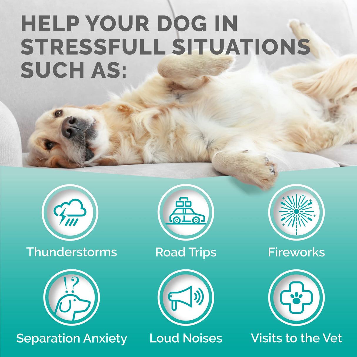 PREMIUM CARE Calming Chews for Dogs, Made in USA - Helps with Dog Anxiety, Separation, Barking, Stress Relief, Thunderstorms and More, 9.3 oz (264g), 120 Count