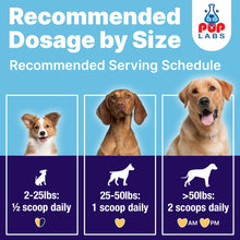 Load image into Gallery viewer, Pup Labs ProDenta, All-Natural Dog Dental Powder for Teeth Cleaning, Dental Powder for Dogs Teeth with Breath Freshener. Easy to use for Tartar Removal and Leaky Gums. Made in USA, 30 Servings