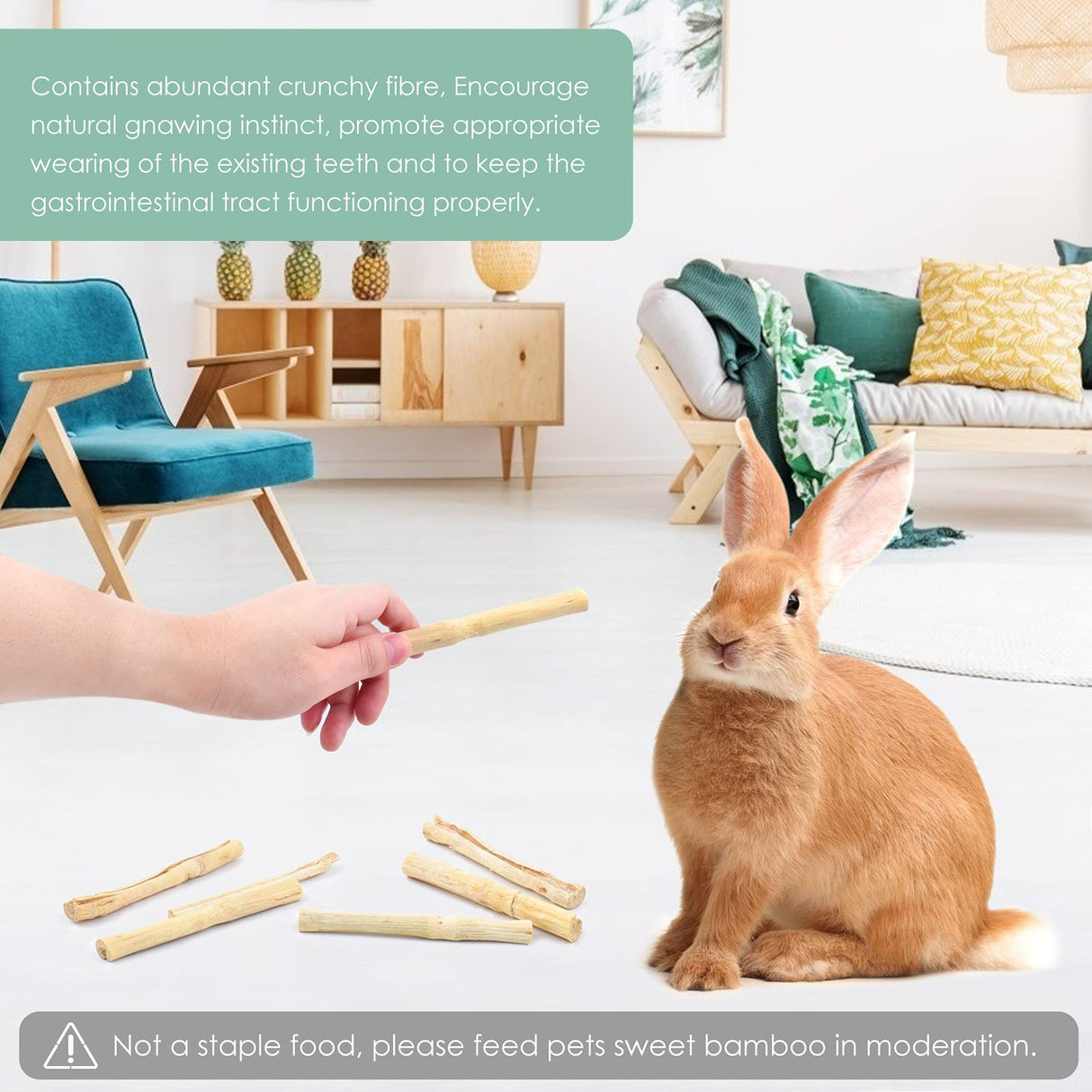 Bissap 910g/2Ib Sweet Bamboo Chew Sticks for Rabbits, Bunny Molar Treats Snack for Small Animals Hamsters Chinchillas Guinea Pigs Squirrels Natural Teeth Grinding Toys