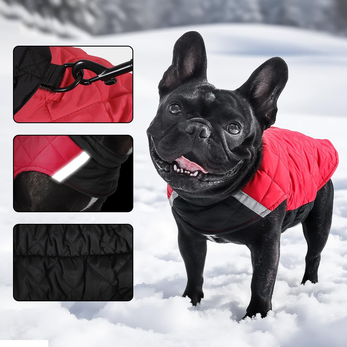 Reversible Waterproof Dog Coat - Adjustable Winter Jacket for Small to Large Breeds, Warm Cold Weather Apparel for Medium Dogs (Army Green & Orange, 2X-Large (Pack of 1))