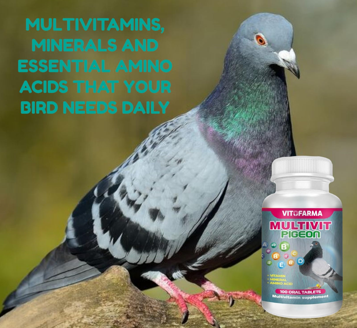 VITOFARMA MULTIVIT Pigeon para palomas 100 Tabs Vitamins Minerals Aminoacids for Racing Pigeons Show Pigeons Rollers Supplement for Birds