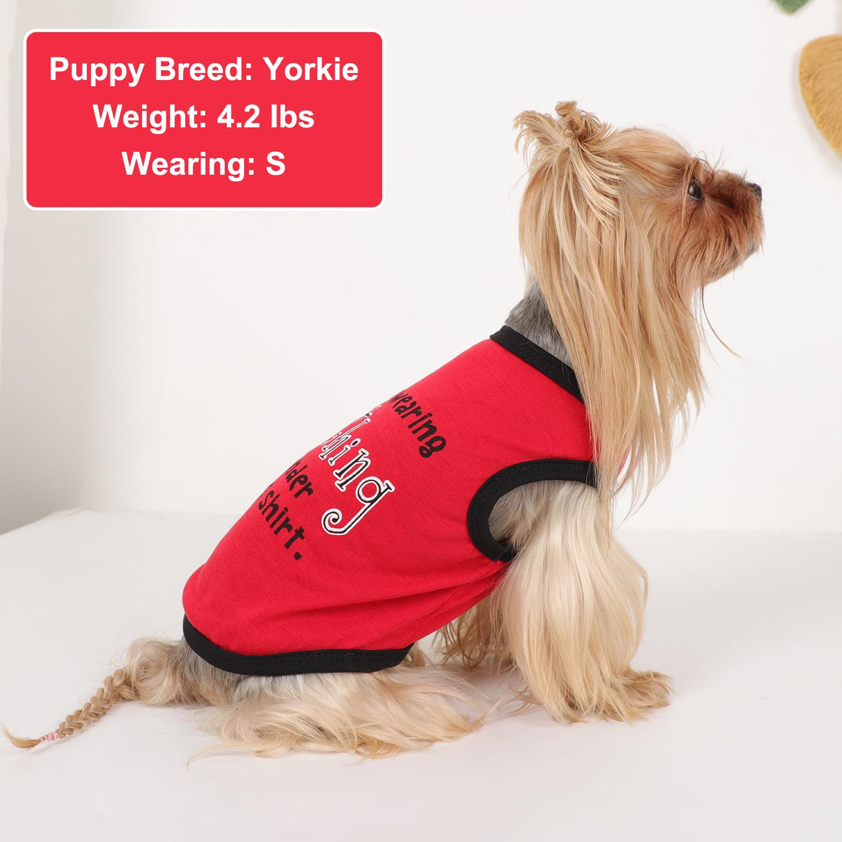 4Pcs Dog Shirt Lightweight Summer Puppy Clothes Cute Printed Sleeveless Pet T Shirts Dog Clothes for Small Dogs Girl Boy Cat Outfit Tank Top, L, Group2