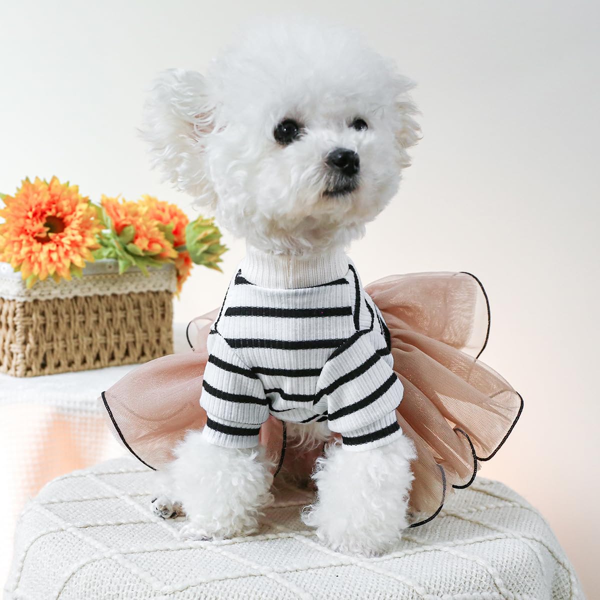 Dog Dress Tutu Skirt Bear Pattern Puppy Princess Striped Dress Elegant Small Girl Dog Clothes Bowknot Small Dog Dresses Cat Apparel Summer Dog Clothes Comfortable Breathable Outfits