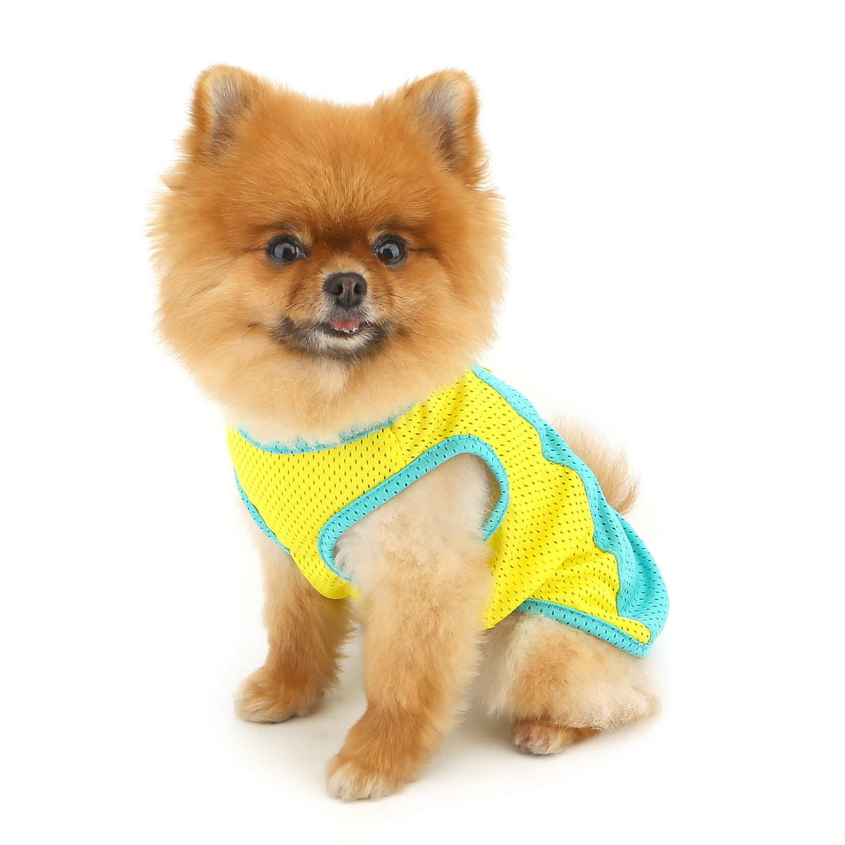 PAIDEFUL Breathable Mesh T-Shirt for Small Dogs Summer Doggie Cool Vest Soft Lightweight Puppy Tee Shirts Sleeveless Pet Tank Top Sweatshirts Cozy Chihuahua Clothes Cat Apparel D-Ring,Green,L