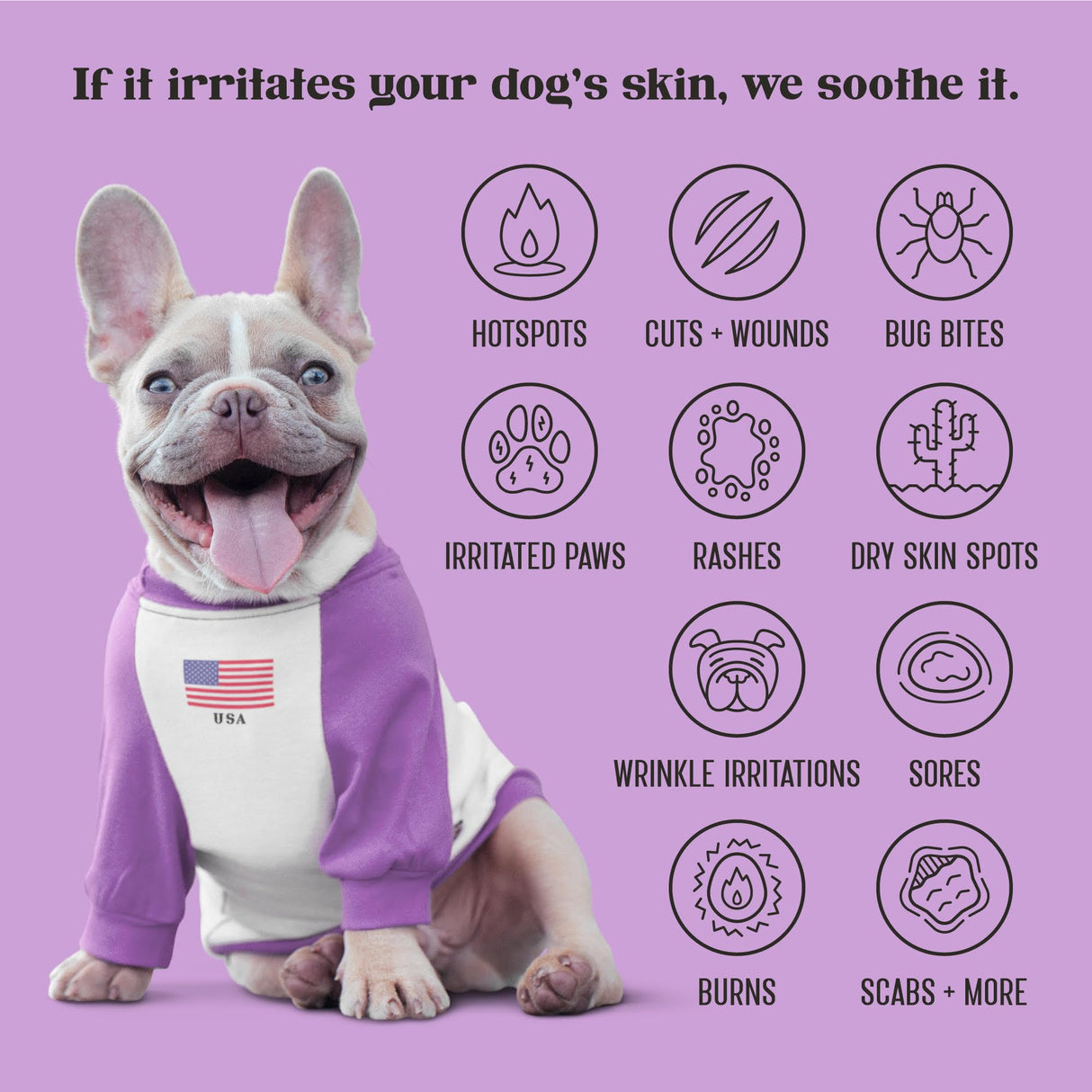 Lavengel for Dogs - Reduces Skin Irritations and Itching - Effective Wound Care and Hot Spot Treatment