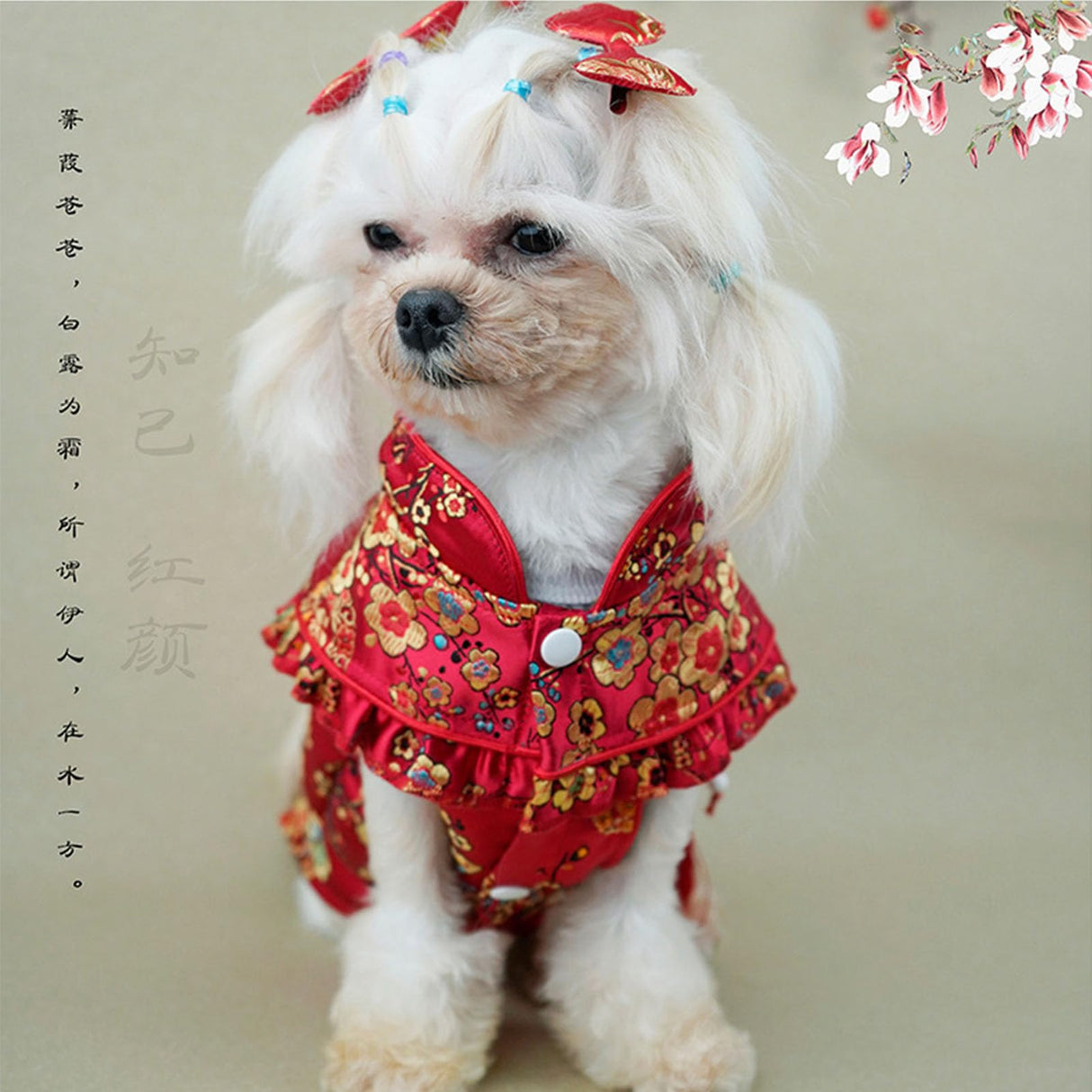 BAMY New Year Dog Cheongsam Fortune Bag Cat Tang Suit Chinese Traditional Pet Outfit Qipao for Cats Small Medium Dogs (XS (Chest Circumference 14.5"), Red)